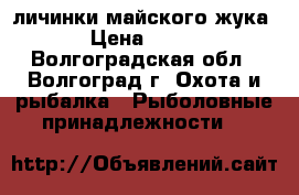 личинки майского жука › Цена ­ 300 - Волгоградская обл., Волгоград г. Охота и рыбалка » Рыболовные принадлежности   